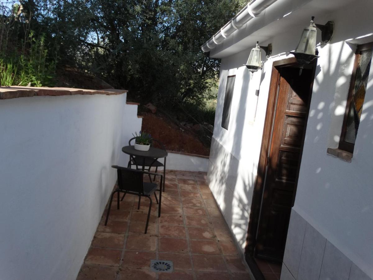 B&B Cortijo Loma Leon Cutar Екстериор снимка