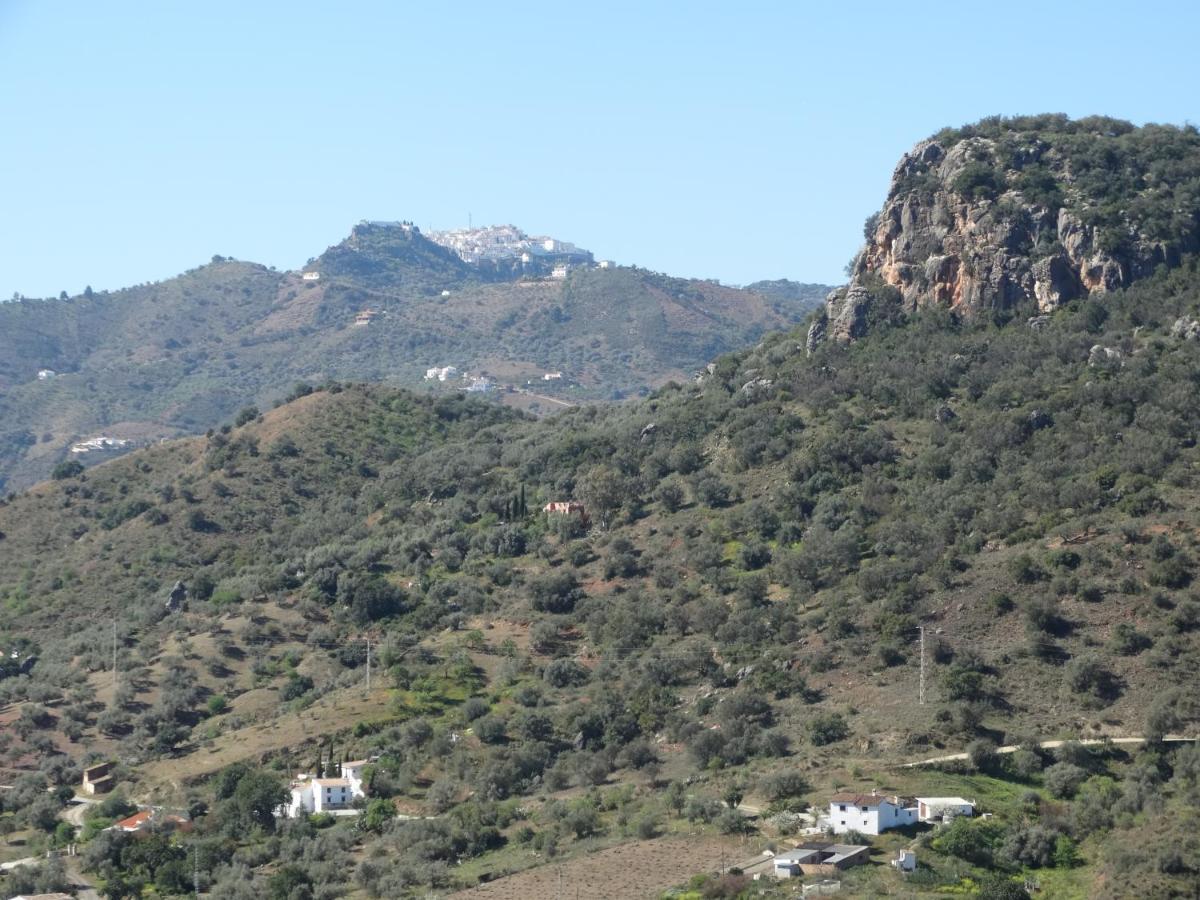 B&B Cortijo Loma Leon Cutar Екстериор снимка