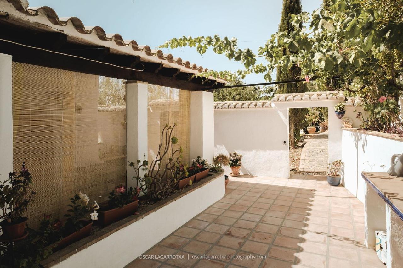 B&B Cortijo Loma Leon Cutar Екстериор снимка