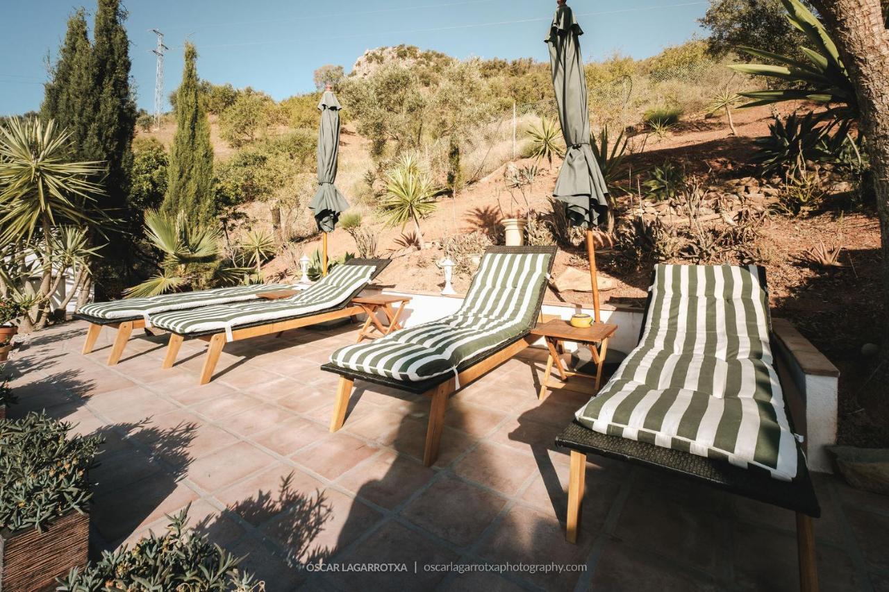B&B Cortijo Loma Leon Cutar Екстериор снимка